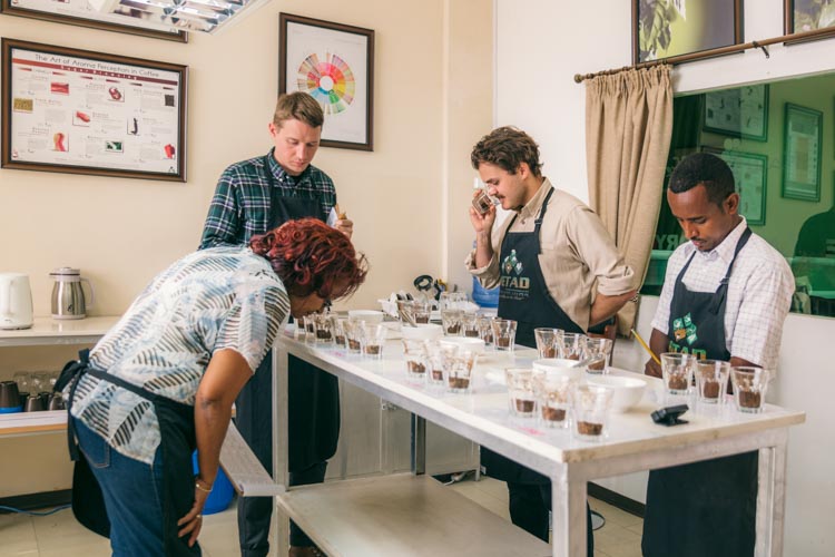 Cupping session